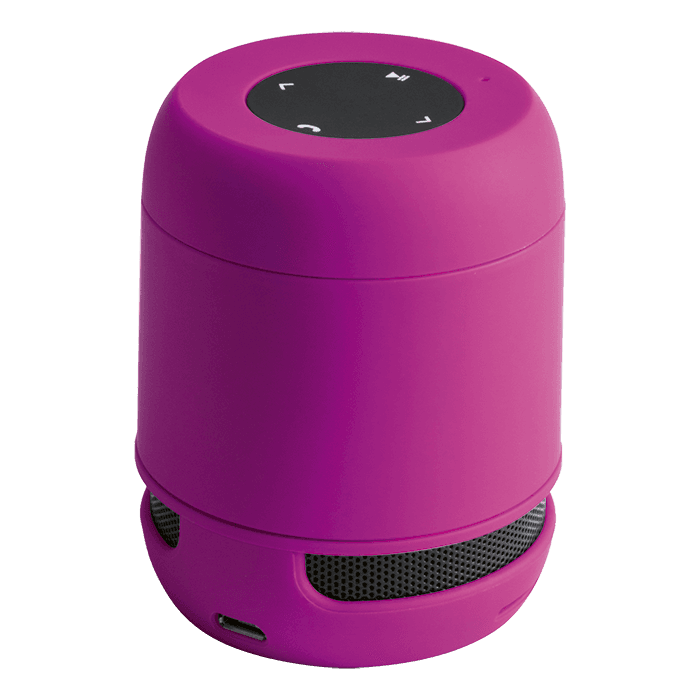 Braiss Bluetooth Speaker