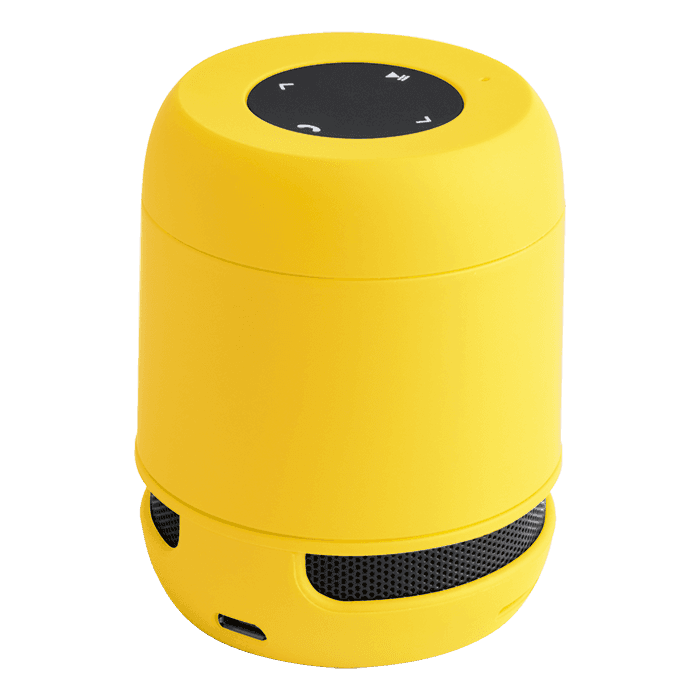 Braiss Bluetooth Speaker