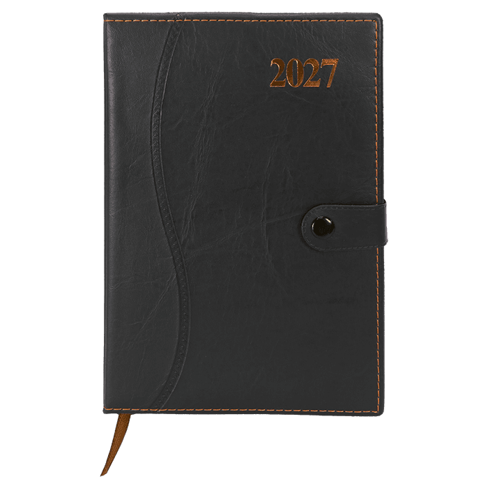 Barron 2027 Essential Diary
