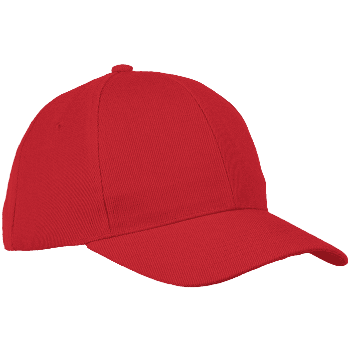 6 Panel Raven Cap