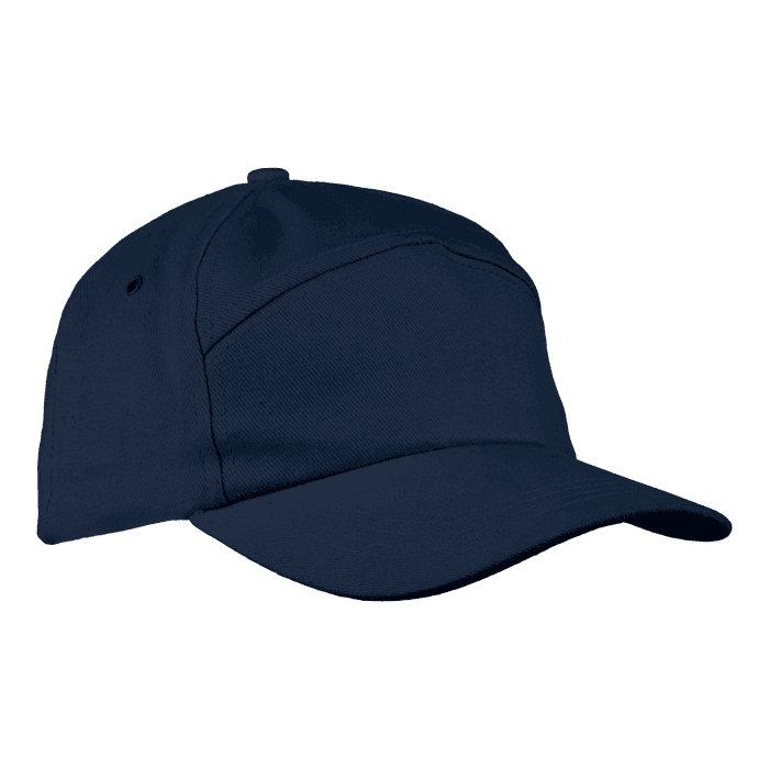 6 Panel Carbon Cap
